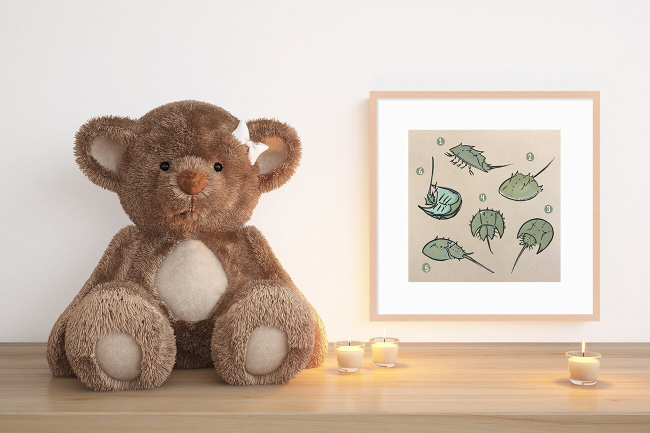 Horseshoe Crab Cute Printable Nursery Art, Square Cute Print, Ocean Wall Prints, Nursery Wall Art, Digital Download, Sea Print Downloadable