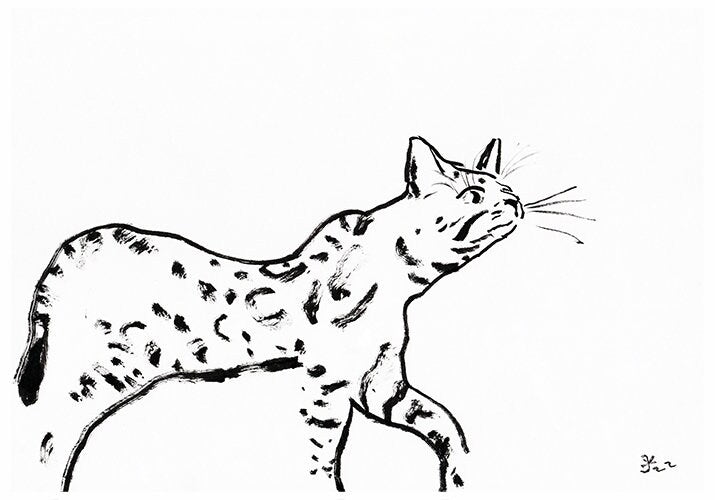 Leopard Wild Cat, Wall Art Print, Leopard cat, bengalensis cat, asian cat, jungle cat digital download, cat gift wall decor