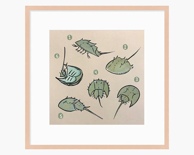 Horseshoe Crab Cute Printable Nursery Art, Square Cute Print, Ocean Wall Prints, Nursery Wall Art, Digital Download, Sea Print Downloadable