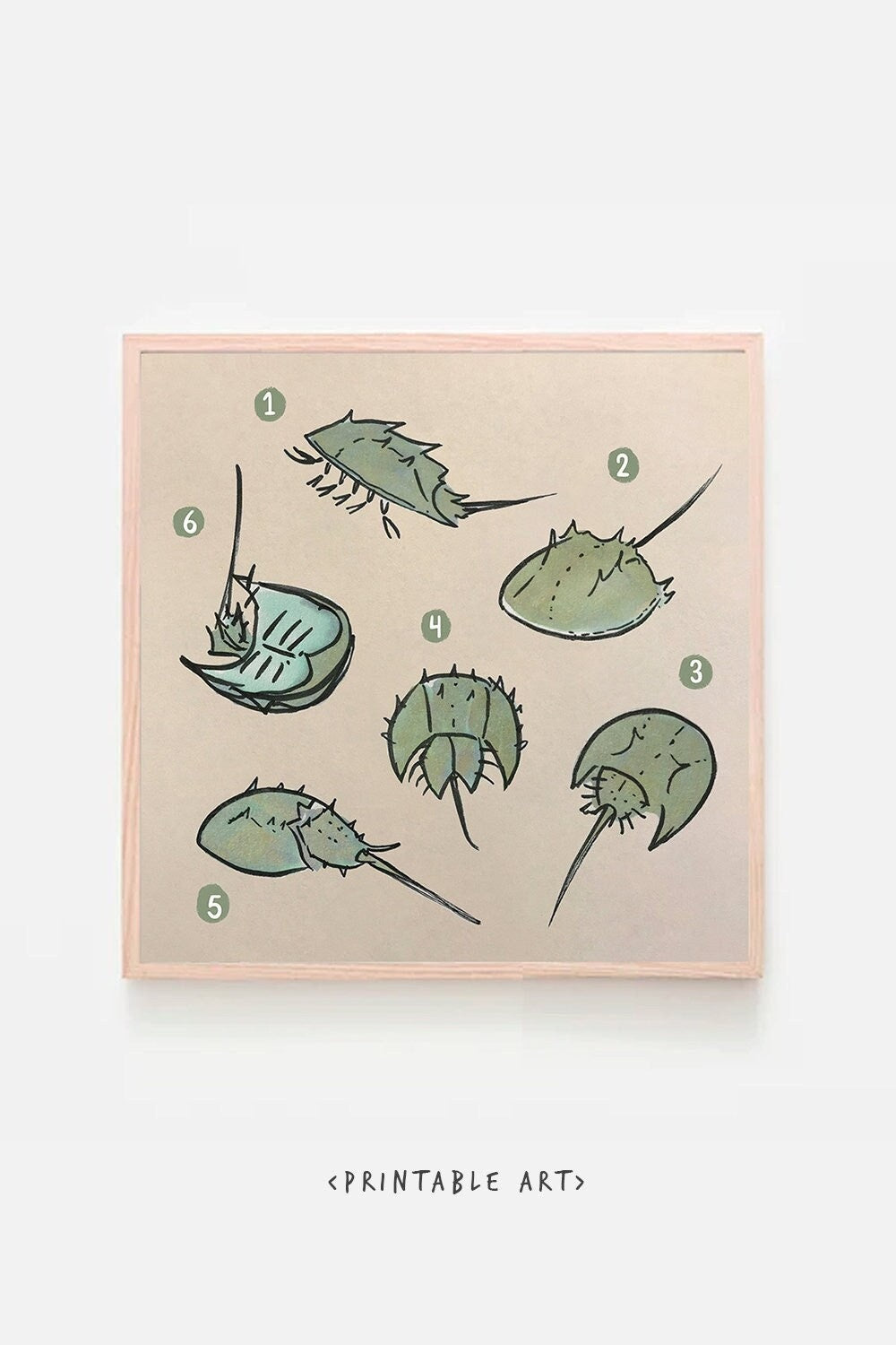 Horseshoe Crab Cute Printable Nursery Art, Square Cute Print, Ocean Wall Prints, Nursery Wall Art, Digital Download, Sea Print Downloadable