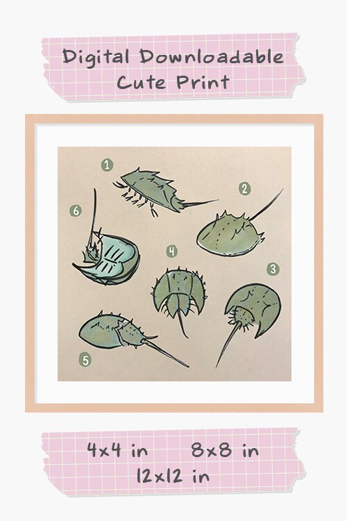 Horseshoe Crab Cute Printable Nursery Art, Square Cute Print, Ocean Wall Prints, Nursery Wall Art, Digital Download, Sea Print Downloadable