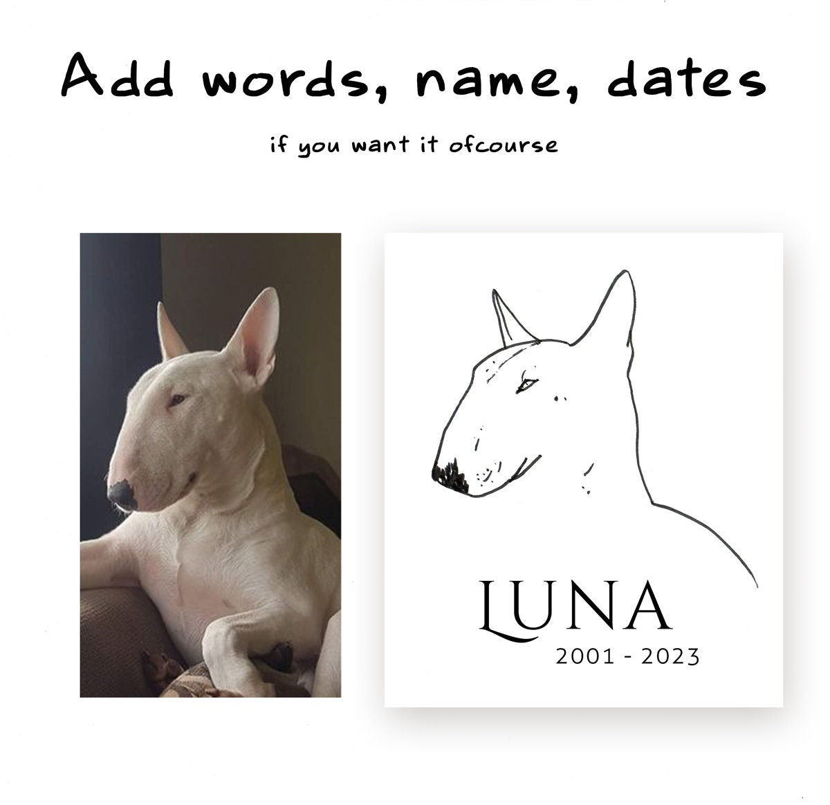 Dog Portraits from Photo ~ Digital Download