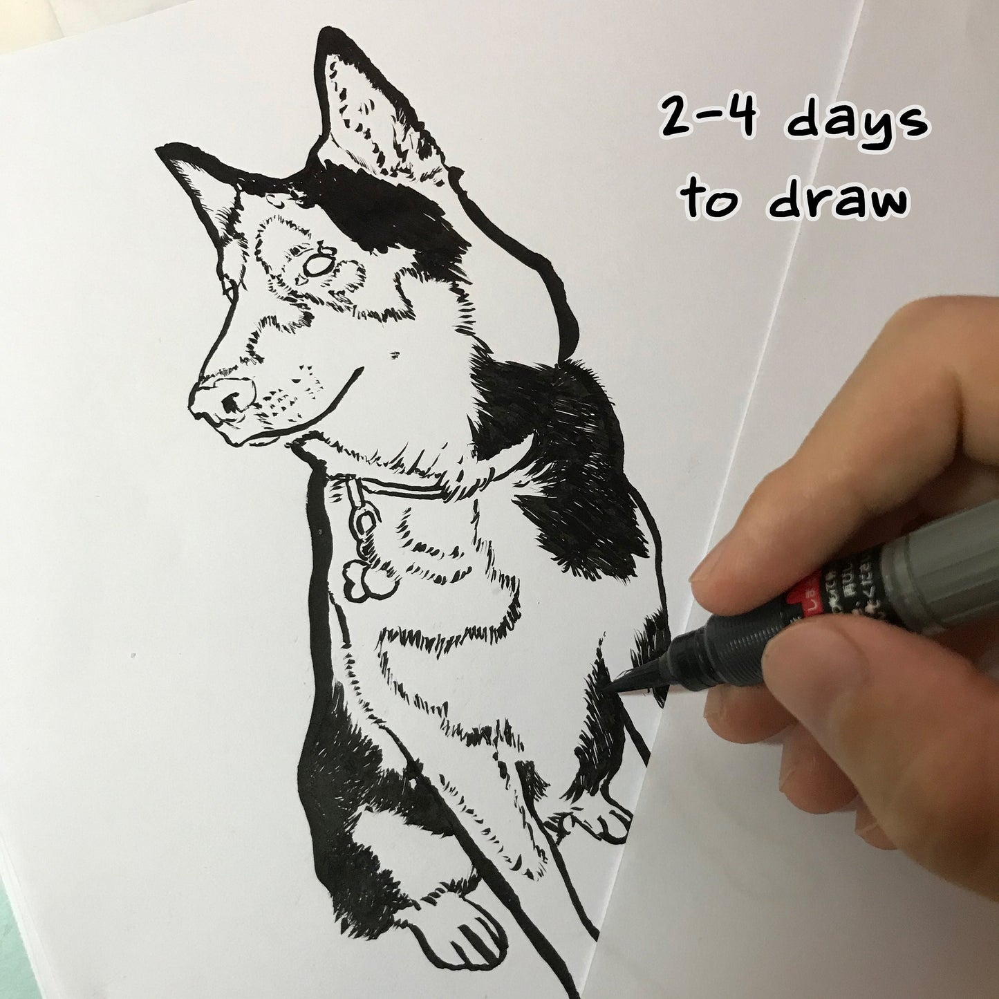 Pet Drawing from Photo ~ Digital Download