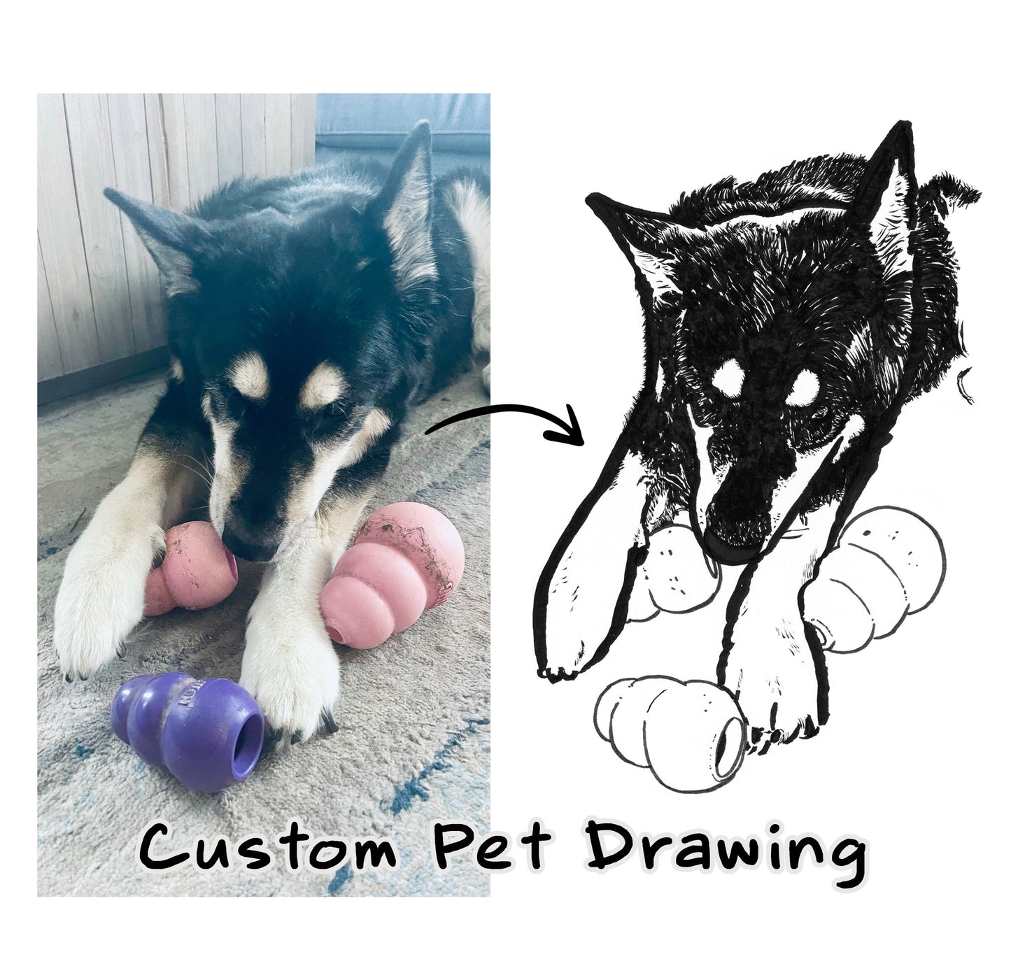 Pet Drawing from Photo ~ Digital Download