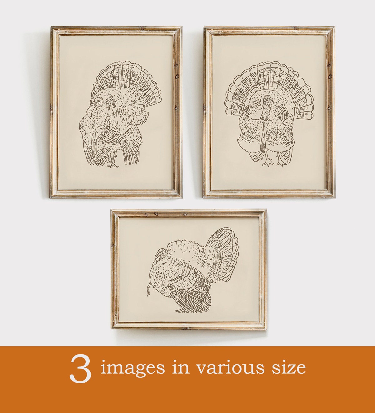 Set of Three Turkey Print, Instant Download, Thanksgiving Printable Wall Art, Kitchen Autumn Decor, Beige Neutral Print, Digital Download