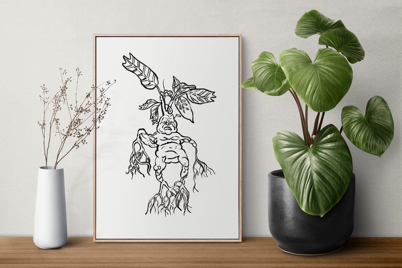 Mandrake Print, Mandragora SVG, Mandrake Png, Mandragora Png, Magic Plant, Mandrake Root Print, Wizard Home Decor, Botanical Wall Art