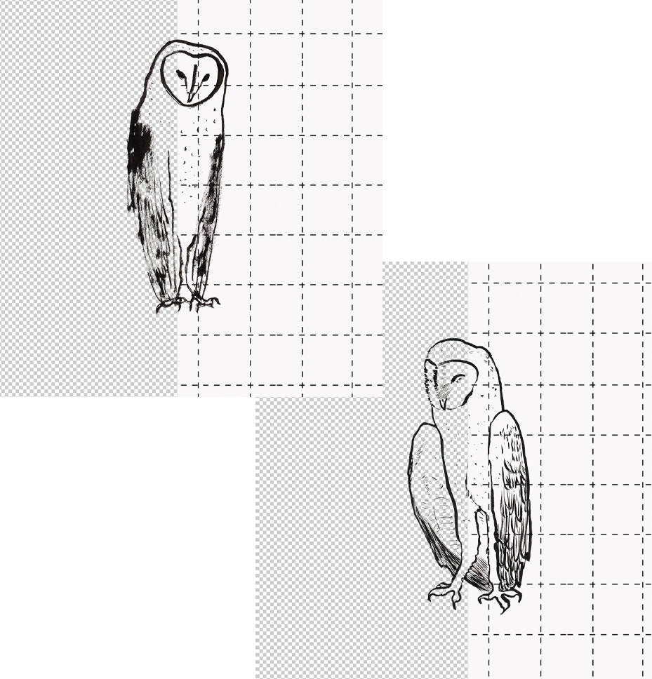 Owl Svg, Owl Png, Owl Outline, Owl Cut file, Owl Clipart, Barn Owl Svg, Snowy Owl Swg, Snowy Owl Png, Barn Owl Png, Owl Svg for Cricut