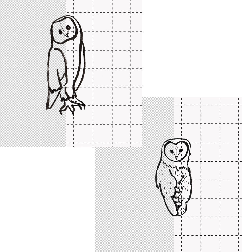 Owl Svg, Owl Png, Owl Outline, Owl Cut file, Owl Clipart, Barn Owl Svg, Snowy Owl Swg, Snowy Owl Png, Barn Owl Png, Owl Svg for Cricut