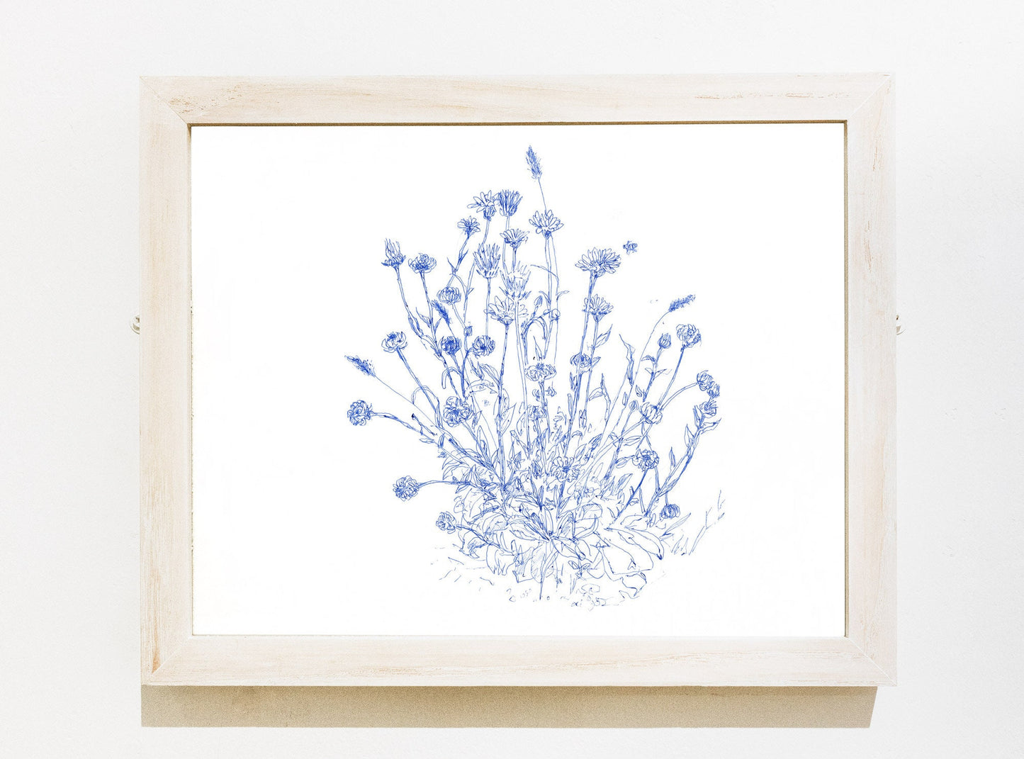 Calendula Print, Botanical Wall Art, Aesthetic Apartment Decor, Digital Download, Plant Drawing, Flower Print, Botanical Illustration, Boho