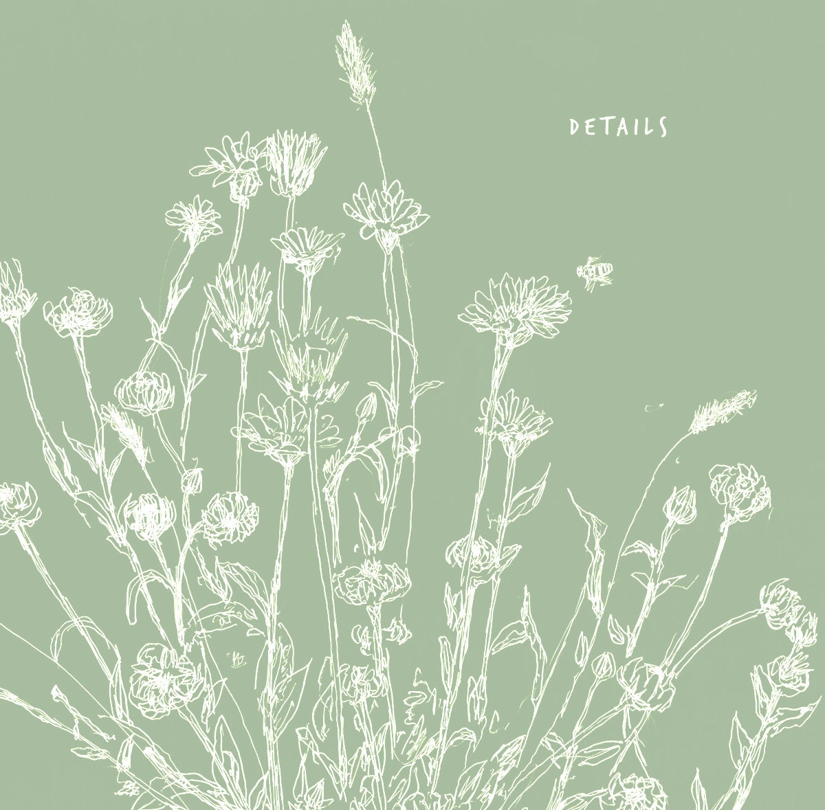 Botanical Flower Print, Green Home Decor, Digital Download, Calendula Wall Art, Floral Boho Print, Mint Green Wall Decor