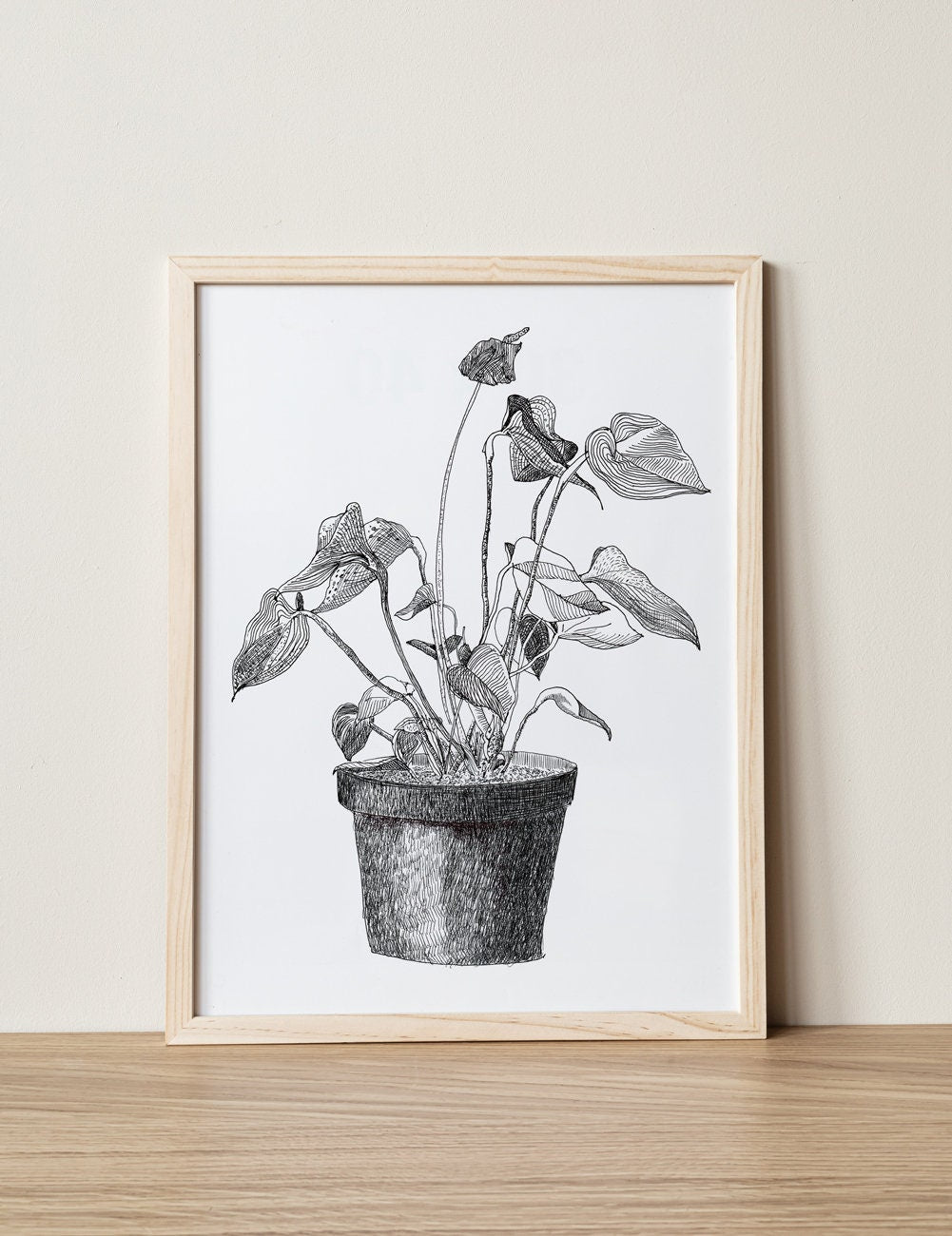 Anthurium Print, Botanical Wall Art, Black and White Floral Art, Home Plant in a flowerpot, Plants Lover Gift, Digital Download, Drawing