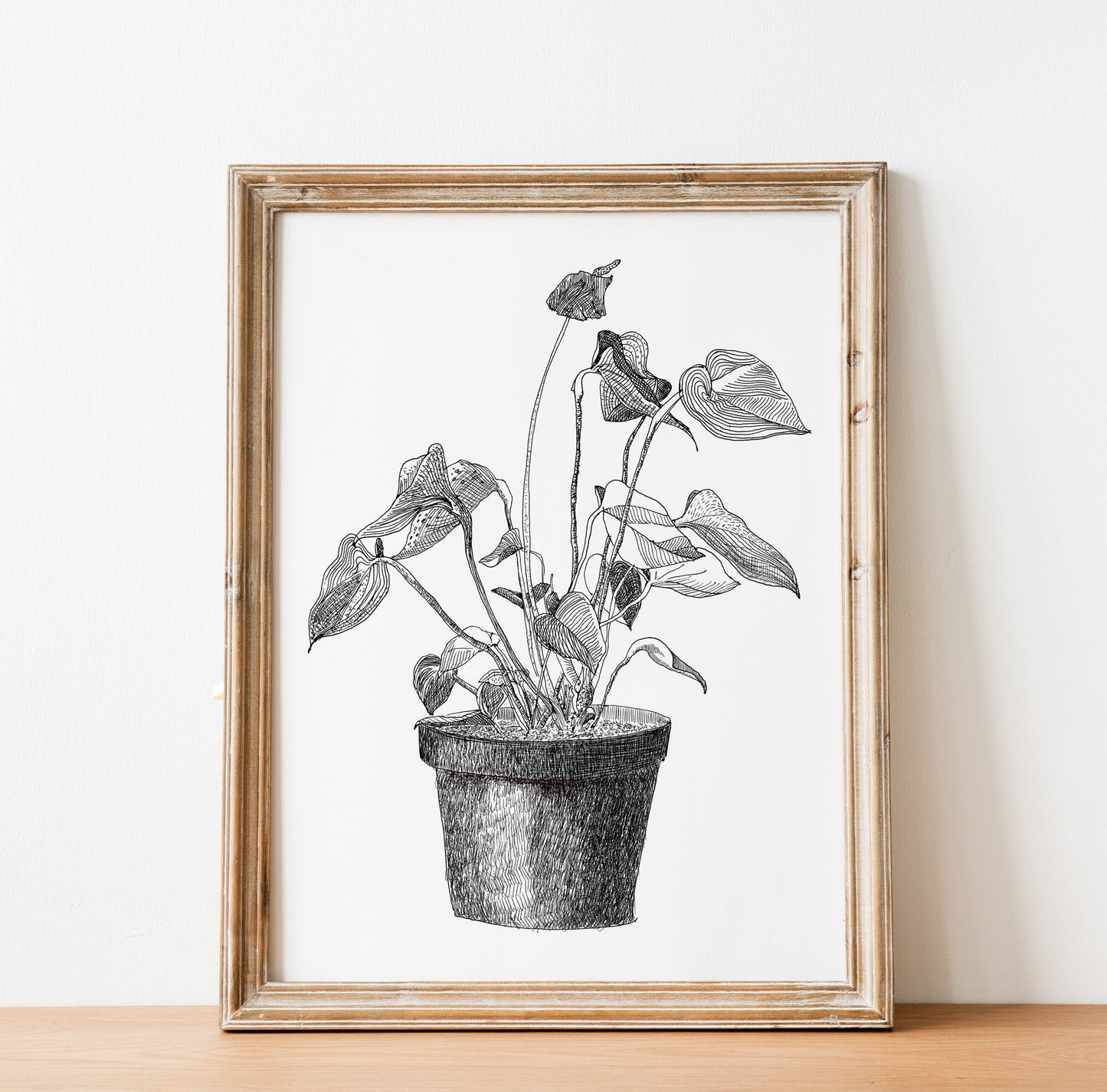 Anthurium Print, Botanical Wall Art, Black and White Floral Art, Home Plant in a flowerpot, Plants Lover Gift, Digital Download, Drawing