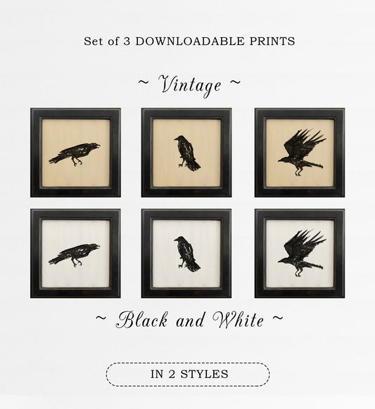 Set of 3 Raven Wall Art, Halloween Decor, Digital Download, Gothic Decor, Dark Academia Aesthetic, Dark Academia Art, Raven Print, Crow Art