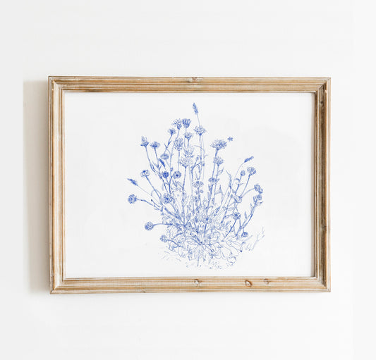 Calendula Print, Botanical Wall Art, Aesthetic Apartment Decor, Digital Download, Plant Drawing, Flower Print, Botanical Illustration, Boho