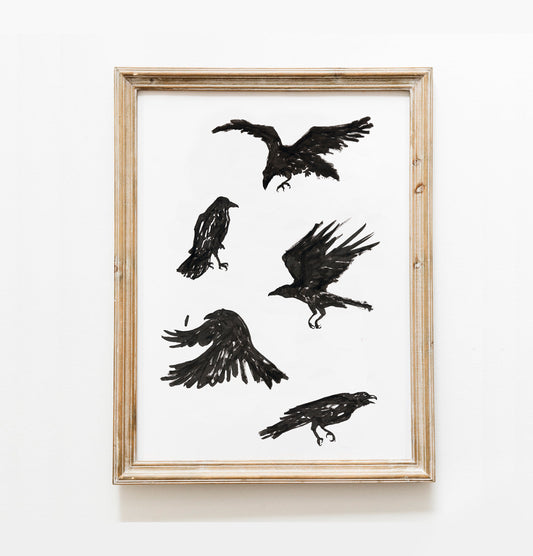 Crow Art Print, Crow Illustration, Raven Png, Black Crow Raven, Digital Download, Primitive Crow, Crow Svg, American Crows, Edgar Allen Poe