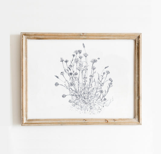 Calendula Digital Print, Boho Wall Decor, Botanical Drawing, Minimalist Floral Drawing, Farmhouse Decor, Gift for Her, Floral Printable