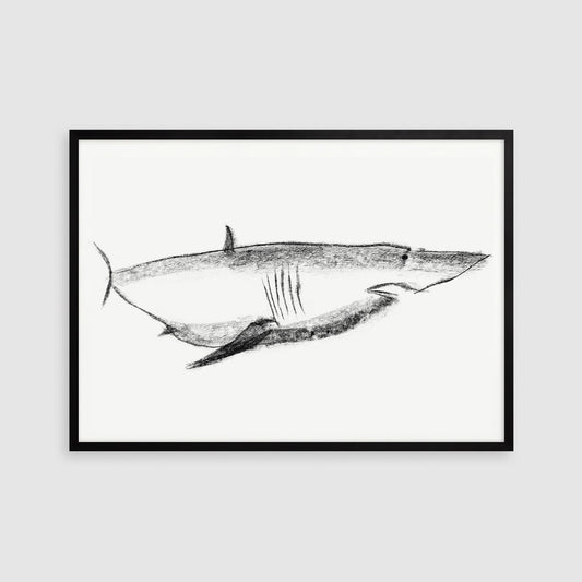 Shark Print, Kids Bathroom Decor, Ocean Beach House Wall Art, Digital Download, Sea Animal Art, Great White Shark Printable, Badly Shark Art