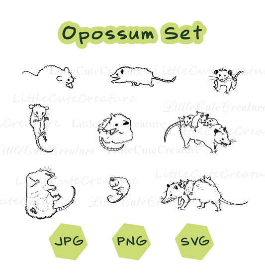 Opossum Png Sublimation, Print At Home Cutting File, Opossum Lovers Gift, Wildlife SVG, Possum Clip Art,   Opossum Print, Opossum Silhouette