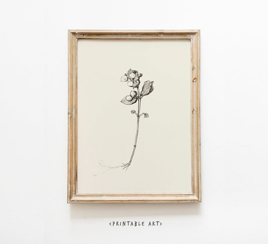 Snowberry Printable Farmhouse Decor ~ Botanical Vintage Wall Art ~ Minimalist Floral Drawing ~ Victorian Fall Decor ~ Autumn Aesthetic Art