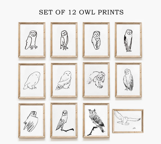 Set of 12 Owl Prints, Digital Download, Wizard Nursery Decor, Scandinavian Owl Wall Art, Minimalist Owl Drawings, Barn Owl Artwork